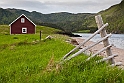 Newfoundland No-0415